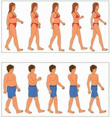 weight loss pics