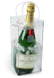 http://t1.gstatic.com/images?q=tbn:-FChO5L_07gZLM:http://nerdapproved.com/wp-content/uploads/2008/10/ice_bag.jpg