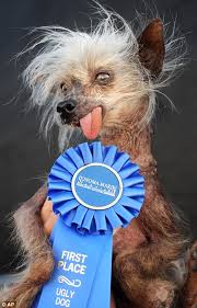 worlds ugliest dog