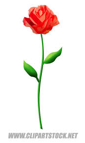 wedding flower clipart