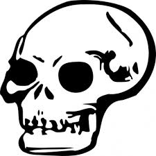 human skull clip art