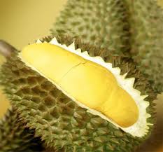 Benefits of Durian