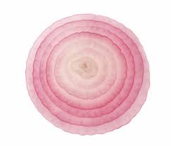 onion