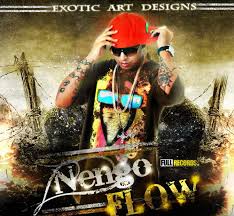 nengo flow