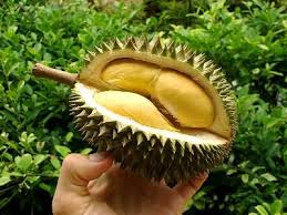 Who says bad durian?