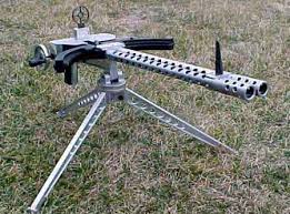 10 22 gatling gun