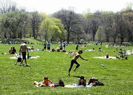 Destination: Prospect Park