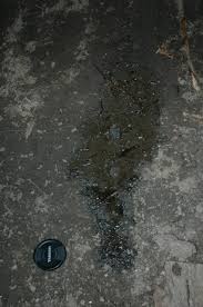 had the energy to cover up