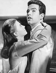 Splendor In The Grass