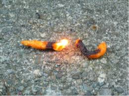 http://t1.gstatic.com/images?q=tbn:2mpNrPM1D_1qDM:http://www.scq.ubc.ca/wp-content/uploads/2008/02/cheezie.jpg