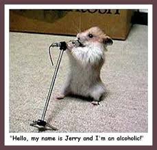 funny pictures of animals