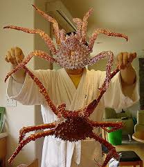 king crab pictures