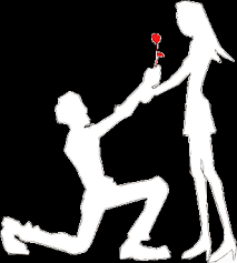 رمان فارسی