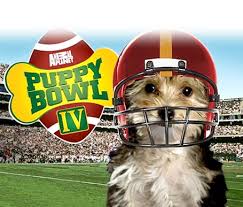 2010 Puppy Bowl Liveblog