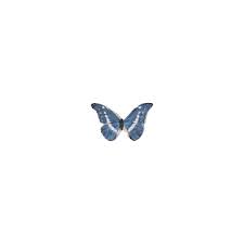 animated gif butterflies