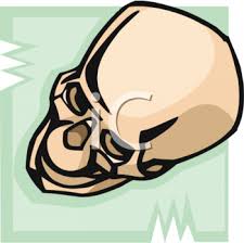 human skull clip art