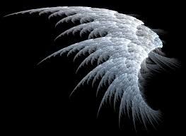 dark angel wings