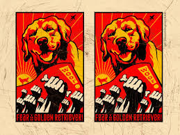 golden retriever wallpaper