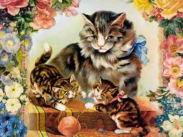 Buon Pomeriggio - Pagina 2 Cat-kitten-wallpaper-076-1024