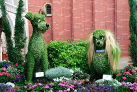 Italy Flower Festival