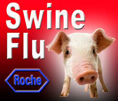Vaccin contre la grippe A H1N1 porcine ex-mexicaine, et autres alchimies - Page 3 Swine-flu-Roche