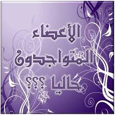المتواجدون الآن ؟