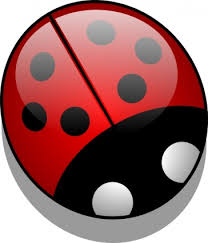 ladybugs clip art pictures
