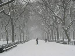 New York covered in Snow!
