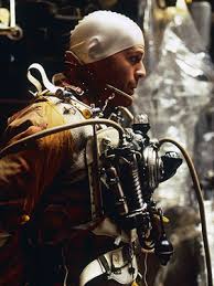 twelve monkeys