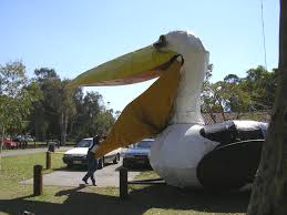 pelican