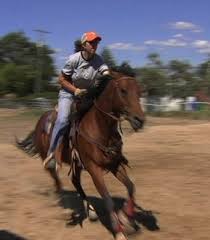 western horse riding