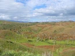 http://t1.gstatic.com/images?q=tbn:5HShU8ShQPTAcM:http://cocobello.chez-alice.fr/images/Nouvelle_Caledonie/Nord/Plaines.jpg