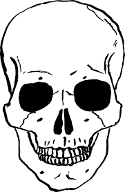 human skull clip art