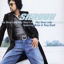 Shaggy - Bombastic , video klip izle , video izle, video seyret