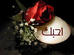 الرحيل بدون عودة 9557alsh3er