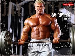 jay cutler