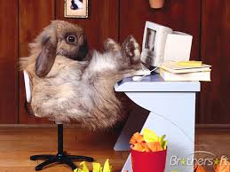 funny screensavers