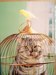 REVENGE!
