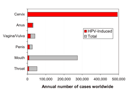HPV vaccine - Wikipedia