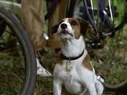 My Dog Skip (2000)