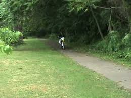 dirt bike wheelies