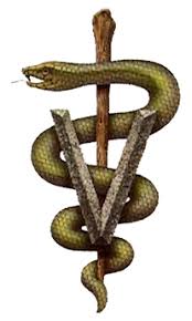 http://t1.gstatic.com/images?q=tbn:64aVg5dv1o4-5M:http://www.jparrondo.com/assets/images/logo_veterinaria.jpg