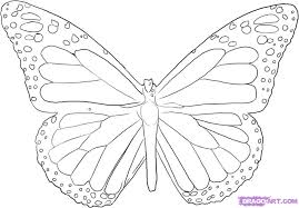 monarch butterfly coloring page
