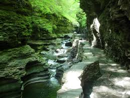 Watkins Glen walk: From