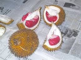 Red coloured durian � only in