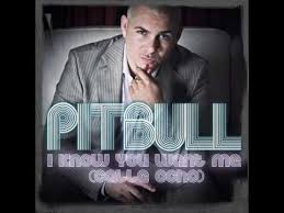 pittbul