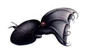 Science - Marine Biology Glossary