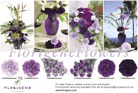 florigene blue rose