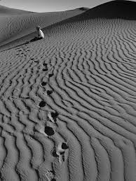 + Comments womans traces