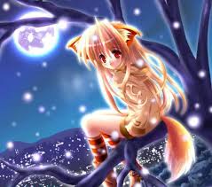      Kitty_fox_anime2